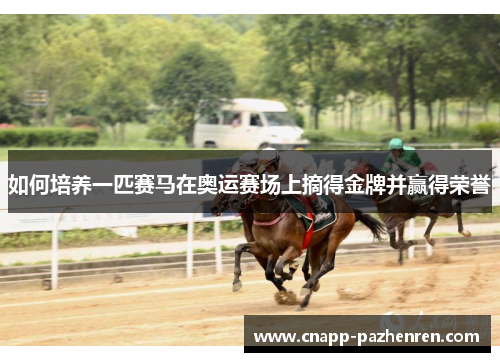 如何培养一匹赛马在奥运赛场上摘得金牌并赢得荣誉