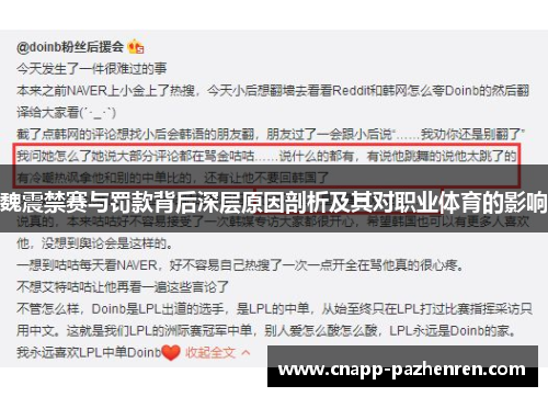 魏震禁赛与罚款背后深层原因剖析及其对职业体育的影响