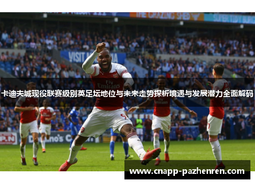 卡迪夫城现役联赛级别英足坛地位与未来走势探析境遇与发展潜力全面解码
